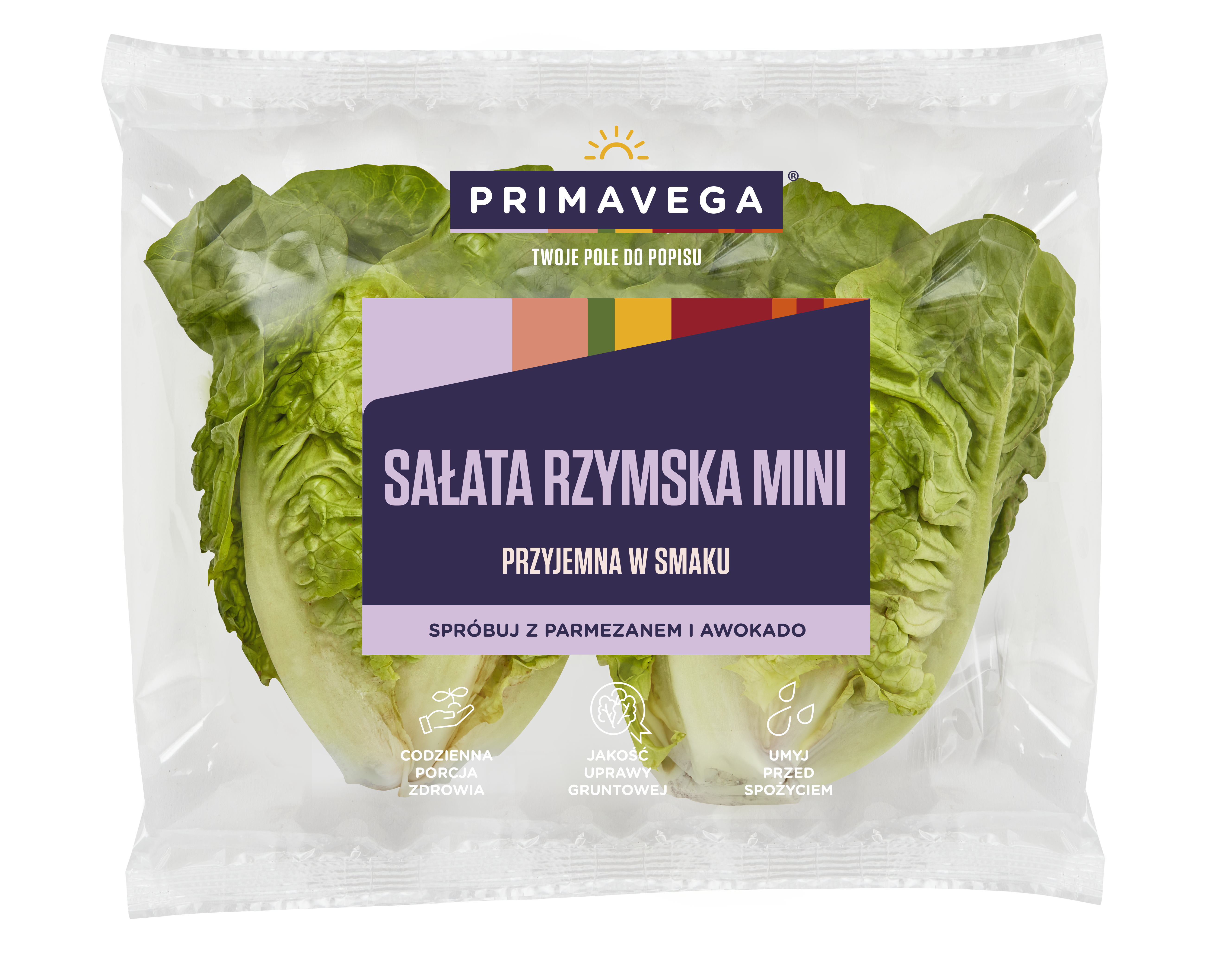 Sałata rzymska mini